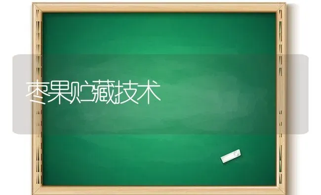 枣果贮藏技术 | 瓜果种植