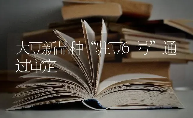 大豆新品种“驻豆6号”通过审定 | 粮油作物种植