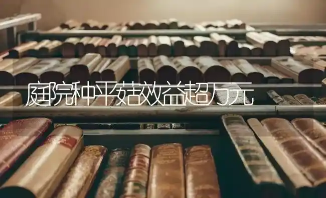 庭院种平菇效益超万元 | 食用菌种植