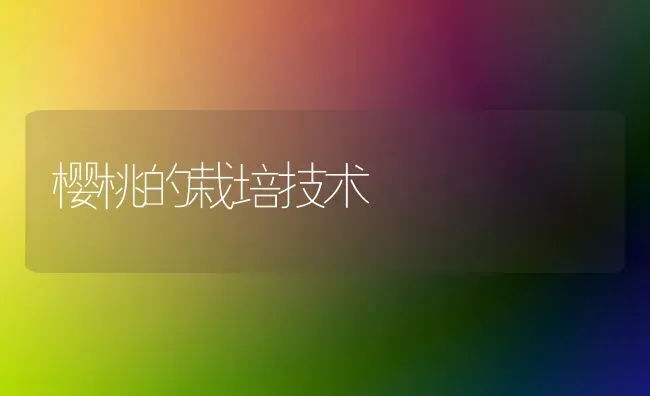 樱桃的栽培技术 | 瓜果种植