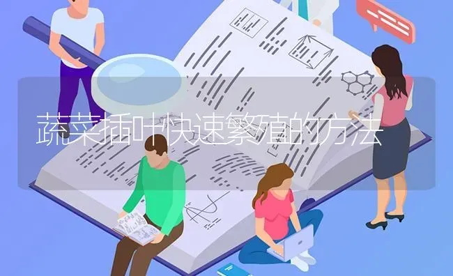 蔬菜插叶快速繁殖的方法 | 蔬菜种植