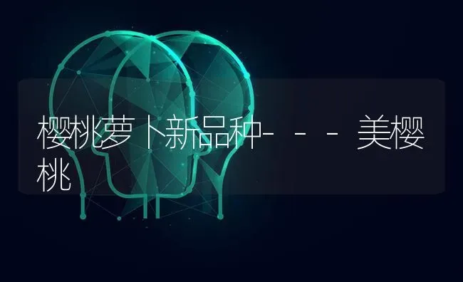 樱桃萝卜新品种---美樱桃 | 瓜果种植