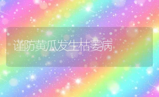 谨防黄瓜发生枯萎病 | 蔬菜种植