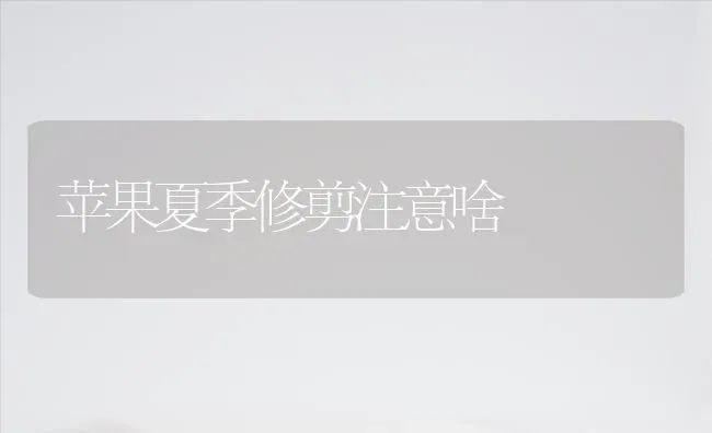 苹果夏季修剪注意啥 | 瓜果种植
