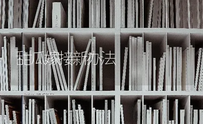 甜瓜嫁接新办法 | 瓜果种植