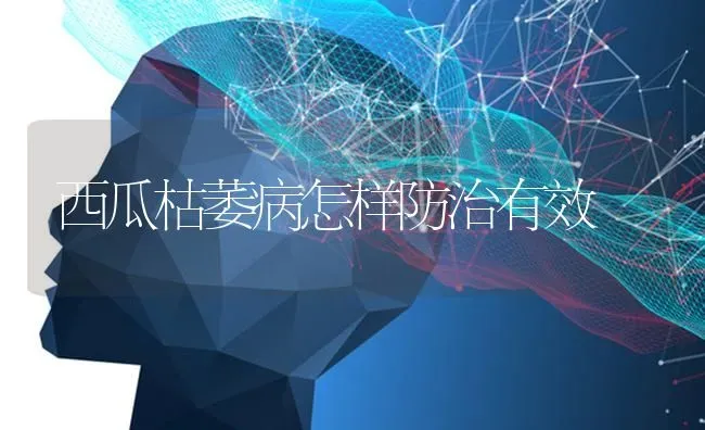 西瓜枯萎病怎样防治有效 | 瓜果种植
