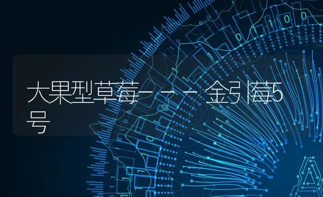 大果型草莓---金引莓5号 | 瓜果种植