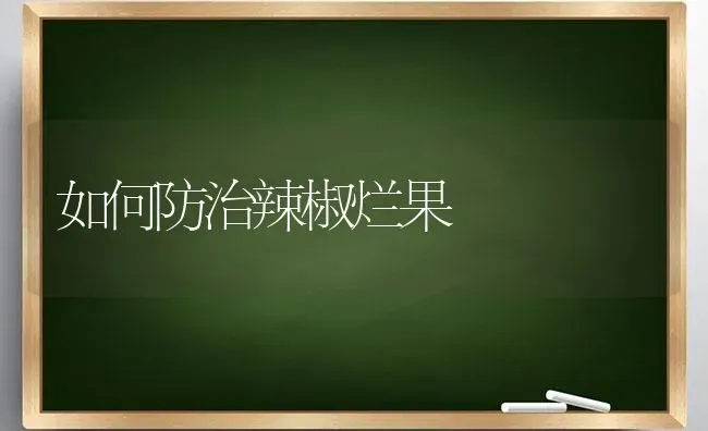 如何防治辣椒烂果 | 瓜果种植