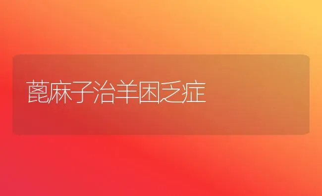 蓖麻子治羊困乏症 | 粮油作物种植