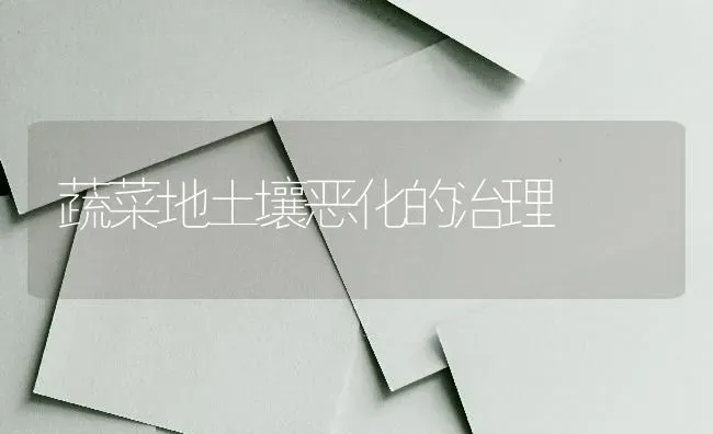 蔬菜地土壤恶化的治理 | 蔬菜种植