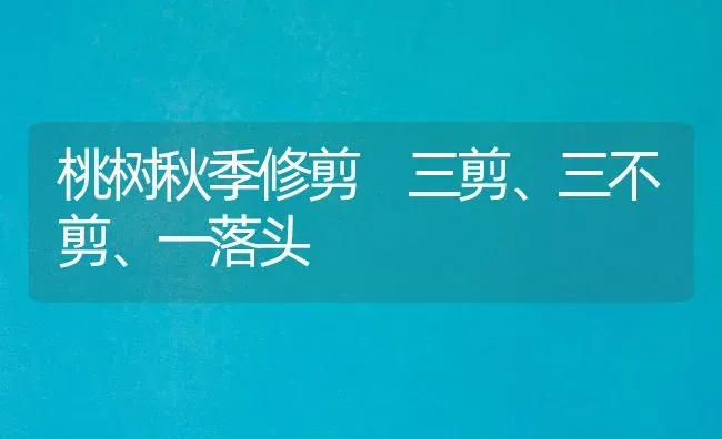 桃树秋季修剪 三剪、三不剪、一落头 | 瓜果种植