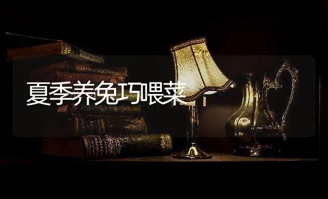 夏季养兔巧喂菜 | 蔬菜种植