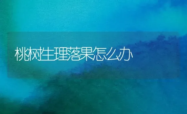 桃树生理落果怎么办 | 瓜果种植
