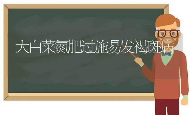大白菜氮肥过施易发褐斑病 | 蔬菜种植