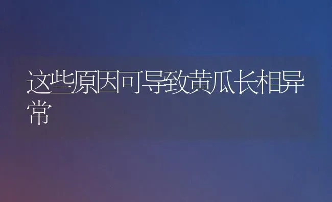 这些原因可导致黄瓜长相异常 | 蔬菜种植