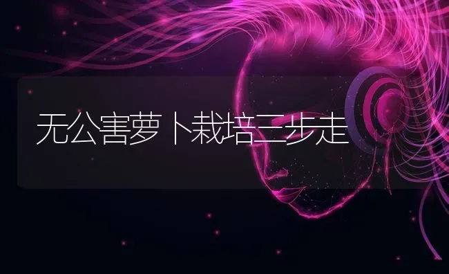 无公害萝卜栽培三步走 | 蔬菜种植