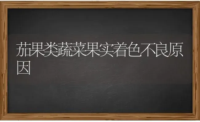茄果类蔬菜果实着色不良原因 | 蔬菜种植