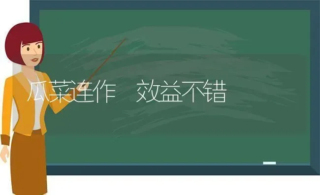 瓜菜连作 效益不错 | 蔬菜种植