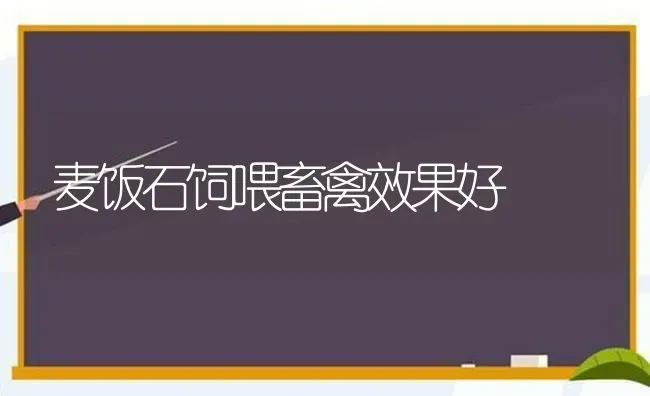 麦饭石饲喂畜禽效果好 | 瓜果种植