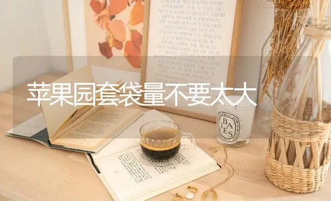 苹果园套袋量不要太大 | 瓜果种植