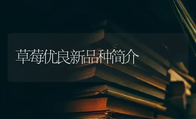 草莓优良新品种简介 | 瓜果种植