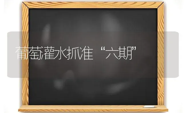 葡萄灌水抓准“六期” | 瓜果种植