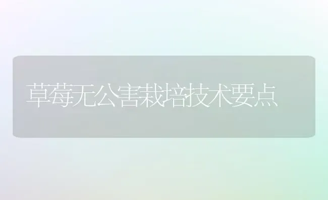 草莓无公害栽培技术要点 | 瓜果种植