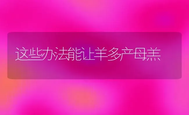 肥料咋施更科学 | 种植肥料施肥