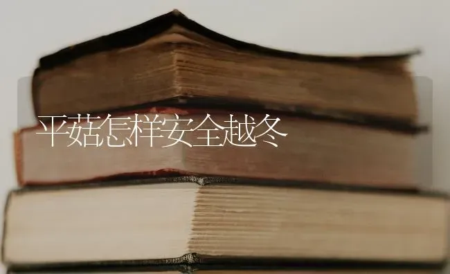 平菇怎样安全越冬 | 食用菌种植