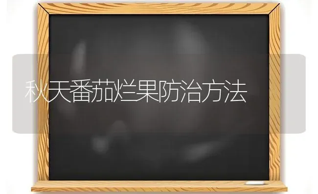 秋天番茄烂果防治方法 | 瓜果种植