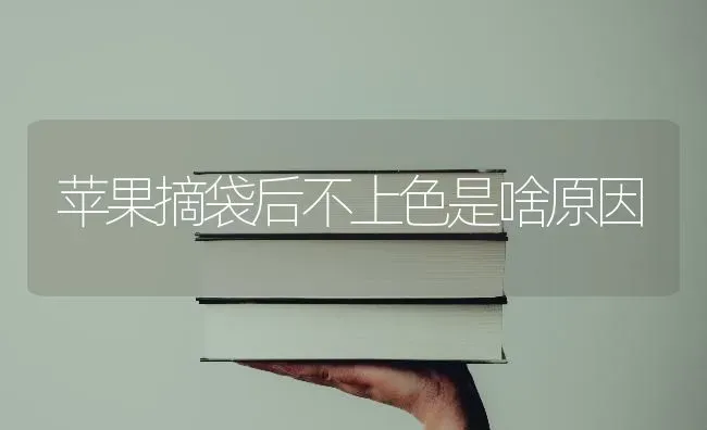 苹果摘袋后不上色是啥原因 | 瓜果种植