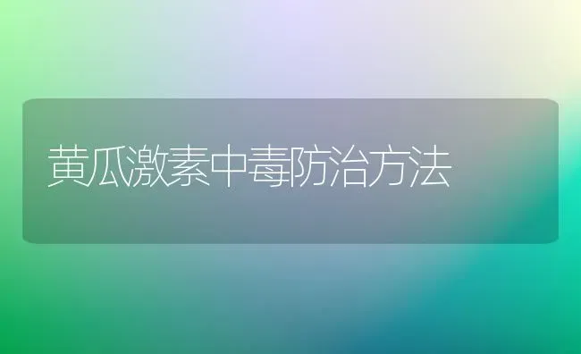 黄瓜激素中毒防治方法 | 蔬菜种植