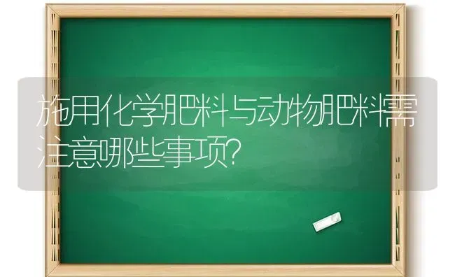 施用化学肥料与动物肥料需注意哪些事项？ | 种植肥料施肥