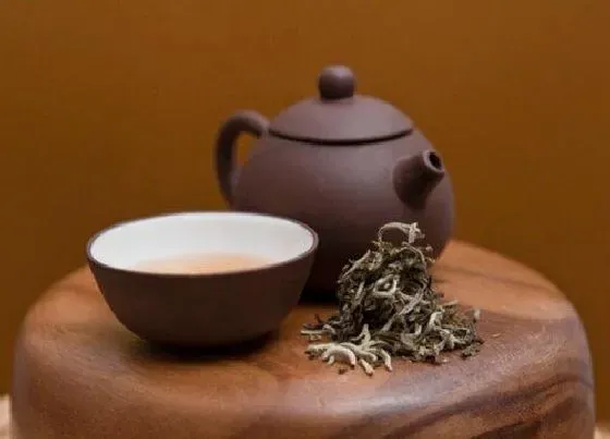 食用常识|生普洱属于什么茶