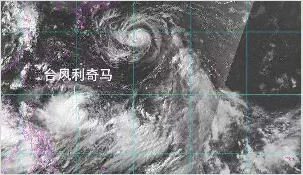 利奇马台风来袭，果园茶园都有哪些预防及补救措施？ | 种植施肥