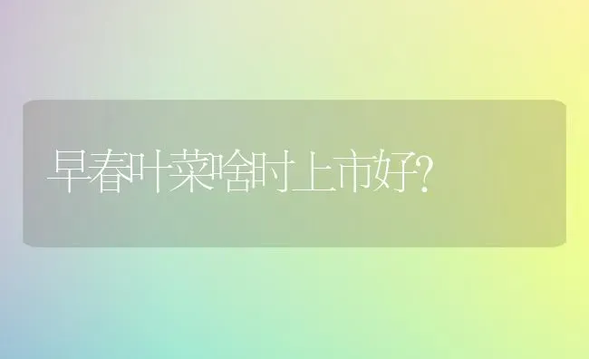 早春叶菜啥时上市好？ | 蔬菜种植