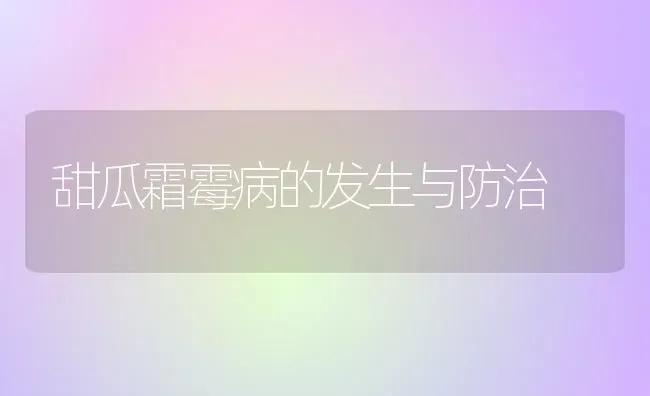 甜瓜霜霉病的发生与防治 | 瓜果种植