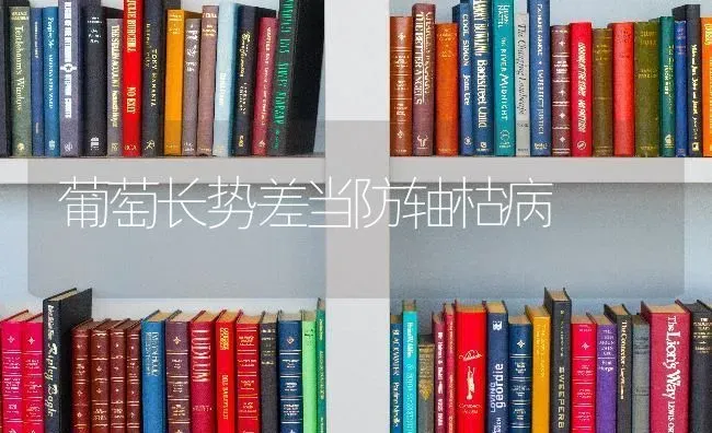 葡萄长势差当防轴枯病 | 瓜果种植