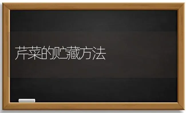 芹菜的贮藏方法 | 蔬菜种植