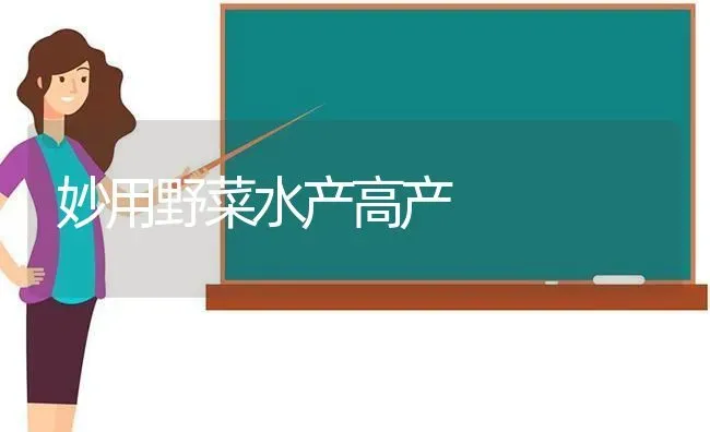 妙用野菜水产高产 | 蔬菜种植