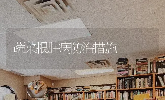 蔬菜根肿病防治措施 | 蔬菜种植