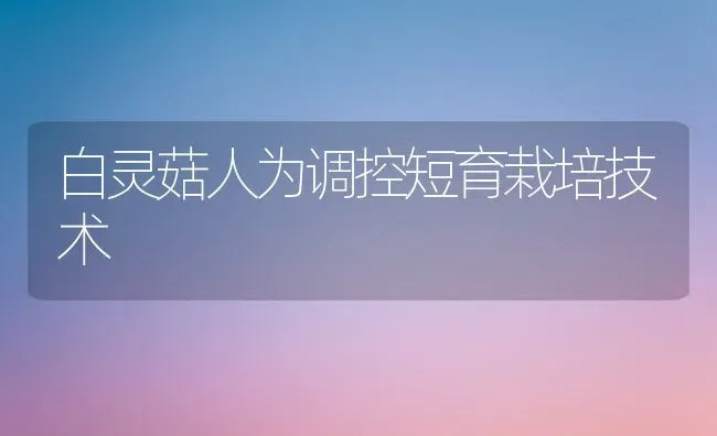 白灵菇人为调控短育栽培技术 | 食用菌种植