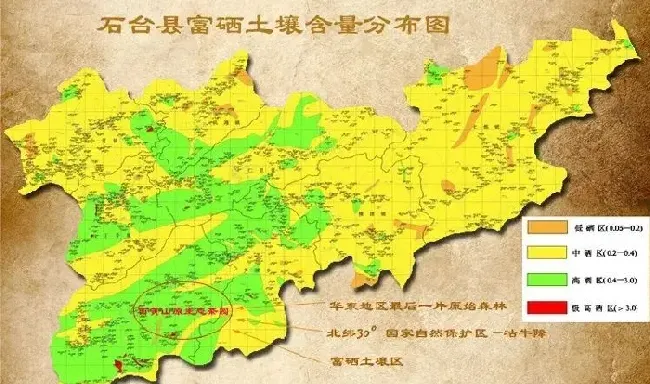 食用常识|富硒茶属于什么茶类等级