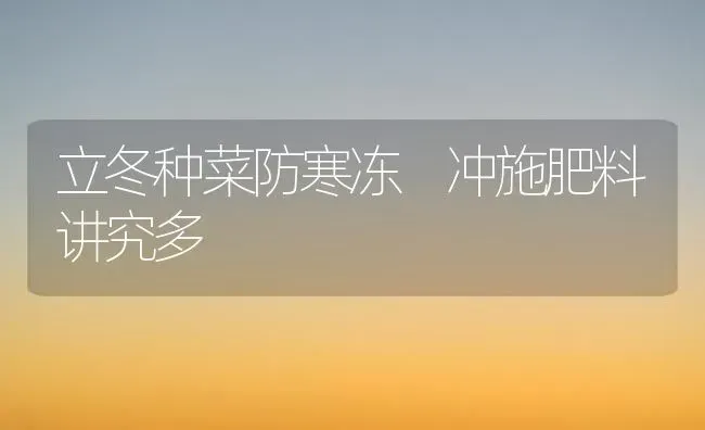 立冬种菜防寒冻 冲施肥料讲究多 | 种植肥料施肥