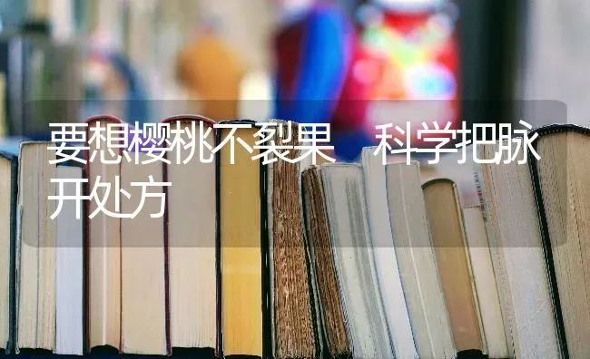 要想樱桃不裂果 科学把脉开处方 | 瓜果种植
