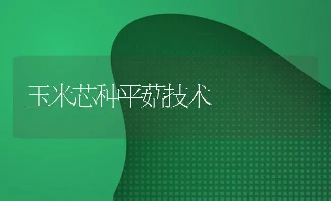玉米芯种平菇技术 | 食用菌种植