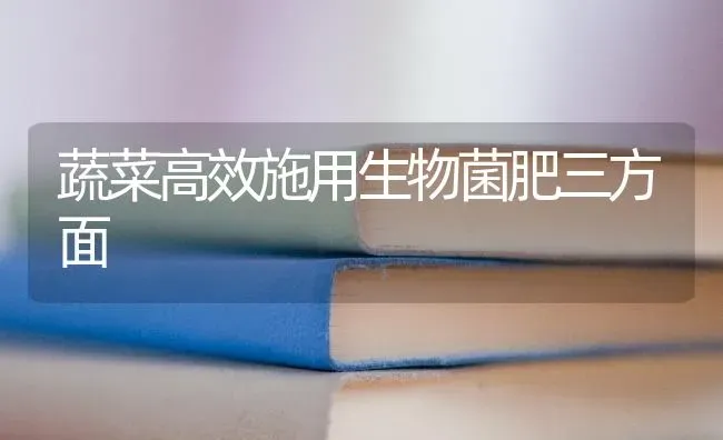 蔬菜高效施用生物菌肥三方面 | 蔬菜种植
