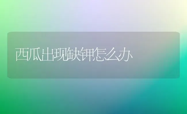 西瓜出现缺钾怎么办 | 瓜果种植