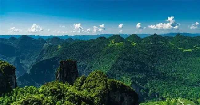 食用常识|富硒茶属于什么茶类等级