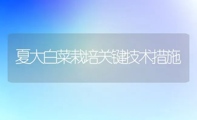 夏大白菜栽培关键技术措施 | 蔬菜种植